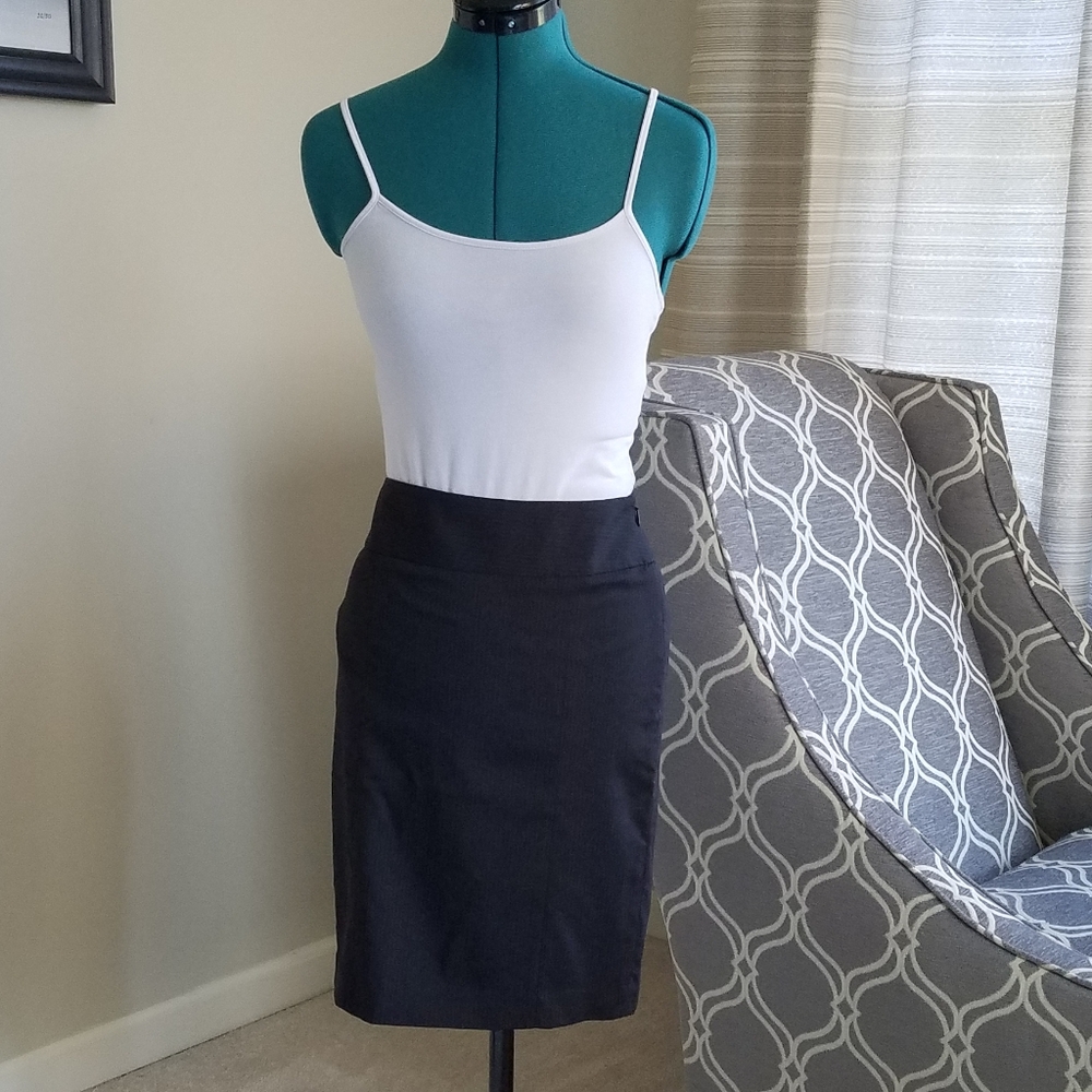 The Limited Pinstripe Skirt